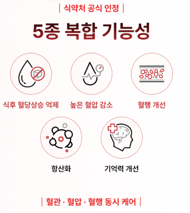 코로솔린 제품 정보 자료
