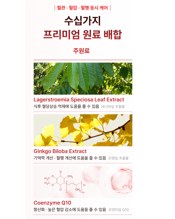 코로솔린 제공 자료 이미지 5