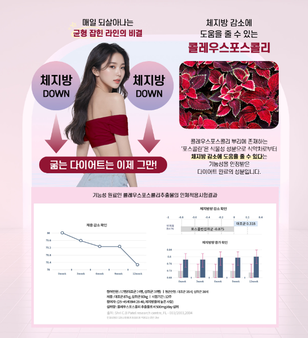 드림핏 수면앤다이어트 관련 제공 자료