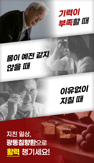 광동침향환
