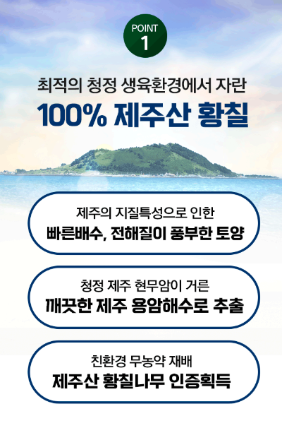 광동 녹황당 황칠 제품 정보 자료