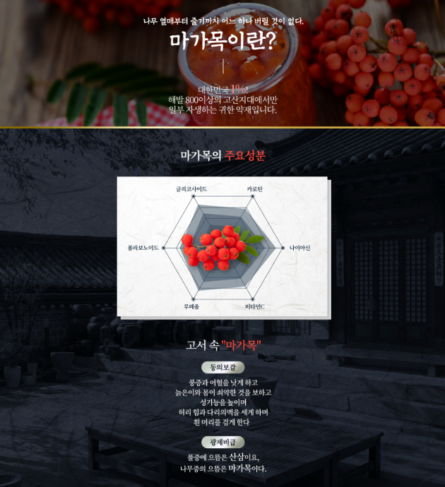 마가보감 프리미엄 제품 특징 소개 자료