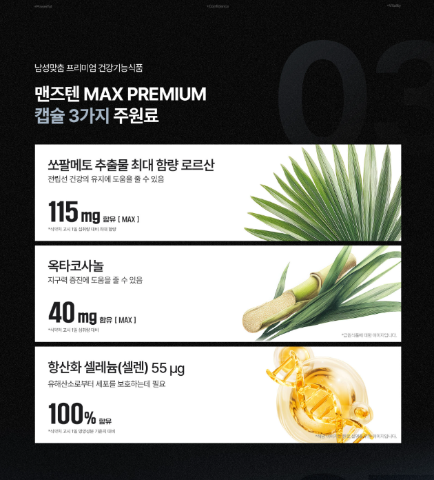 맨즈텐 MAX 프리미엄 제품 정보 자료