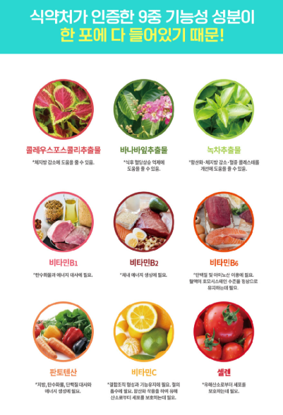 남재현 체지방 다이어트 기능성 원료 구성