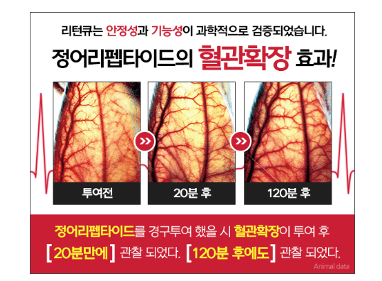리턴큐 제품 특징 소개 자료